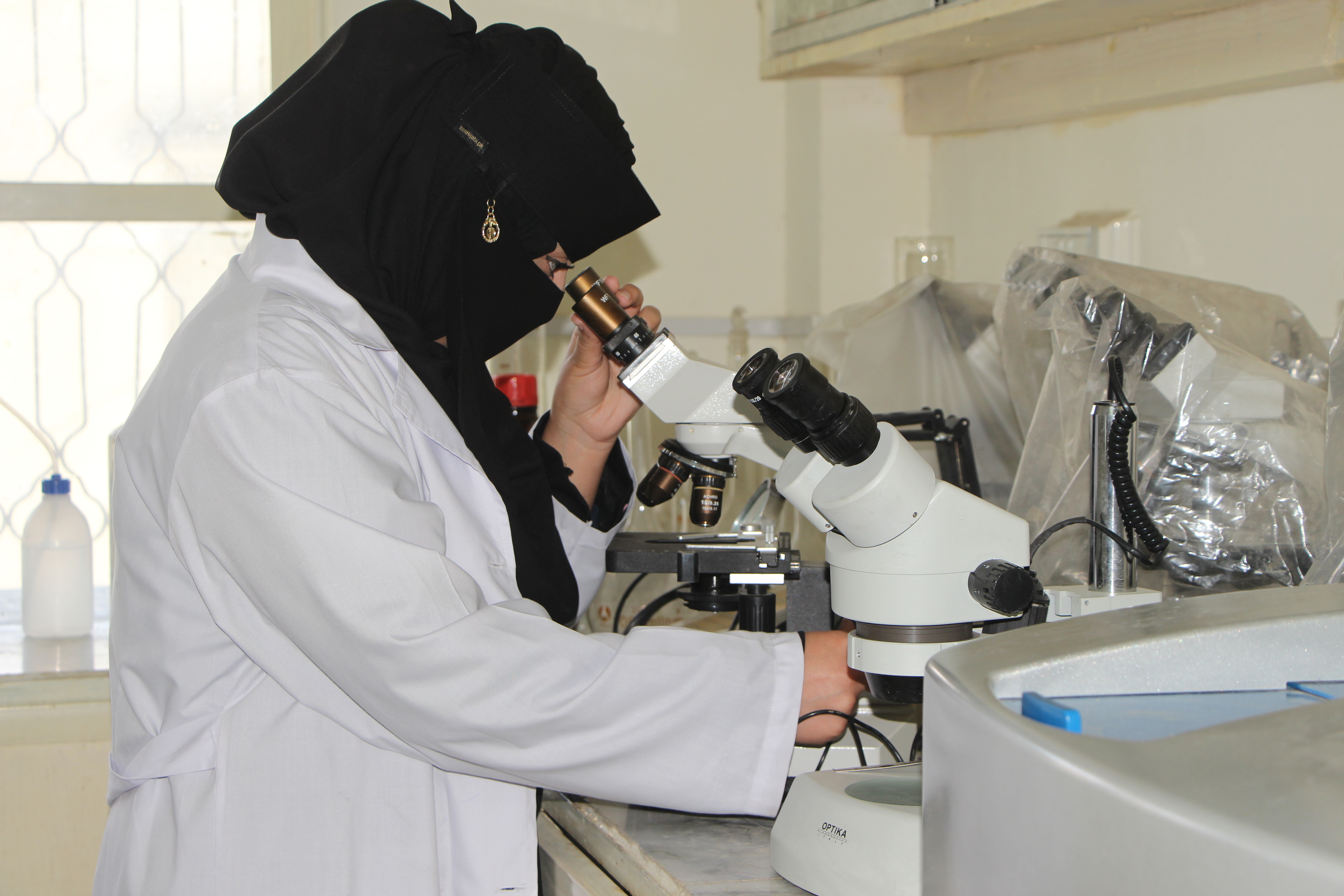Courses, Department of Pharmacy - SBB University, Sheringal